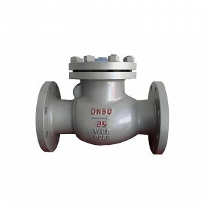 DN50 PN25 介質(zhì)：甲胺，溫度：80℃止回閥